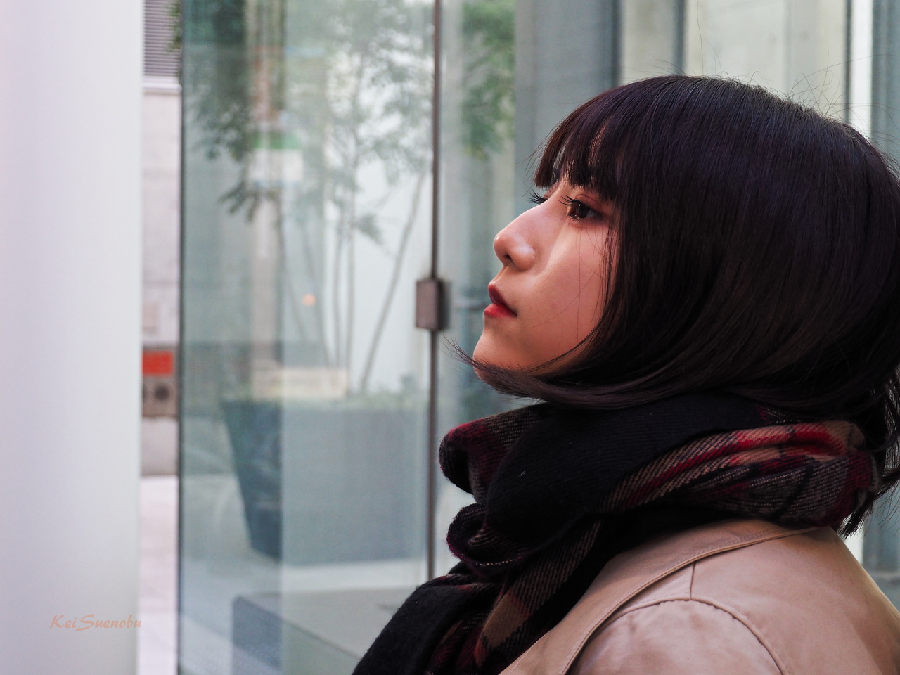 f:id:glitteringrivergreen:20200203191945j:plain