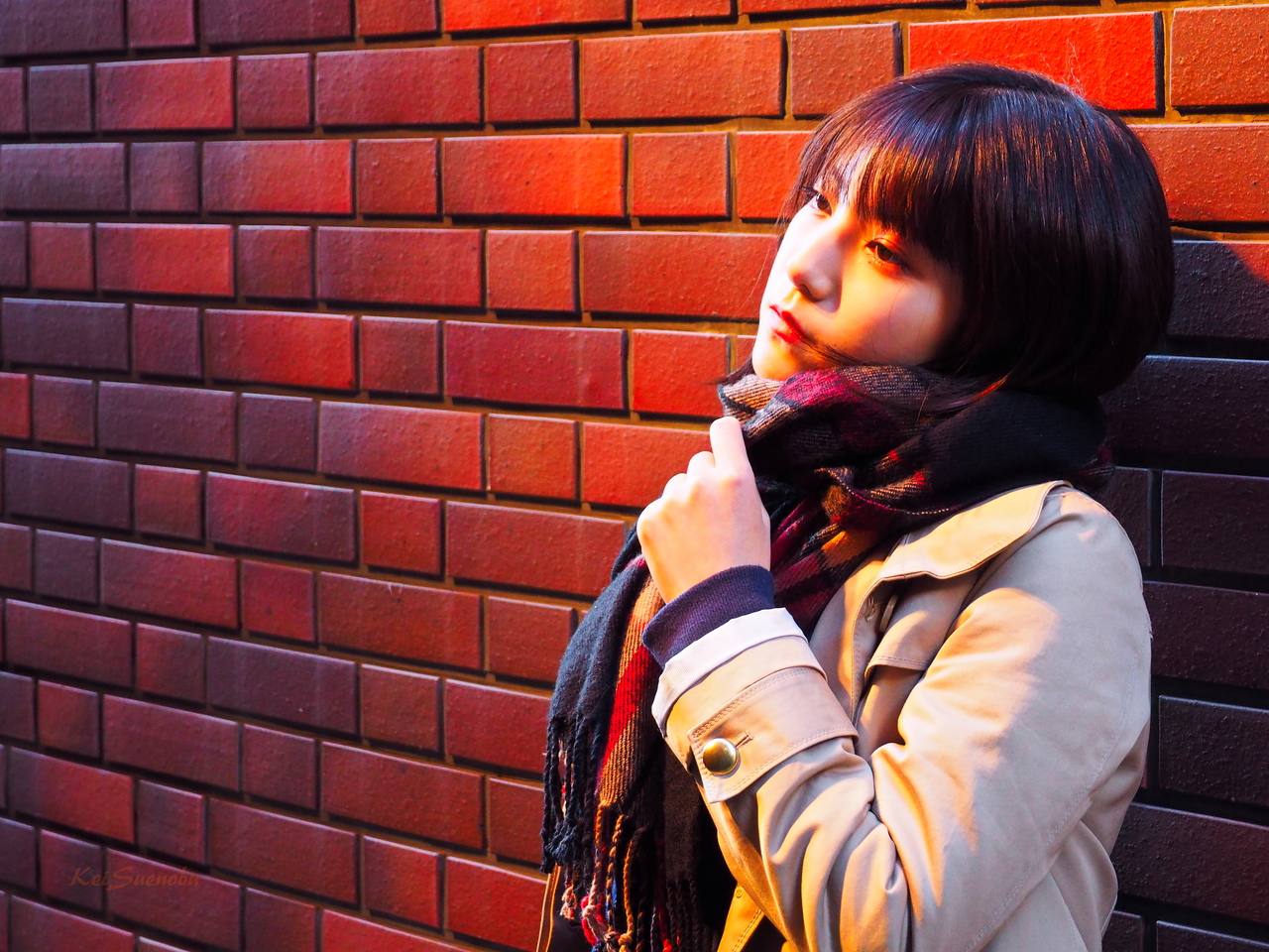 f:id:glitteringrivergreen:20200203192022j:plain