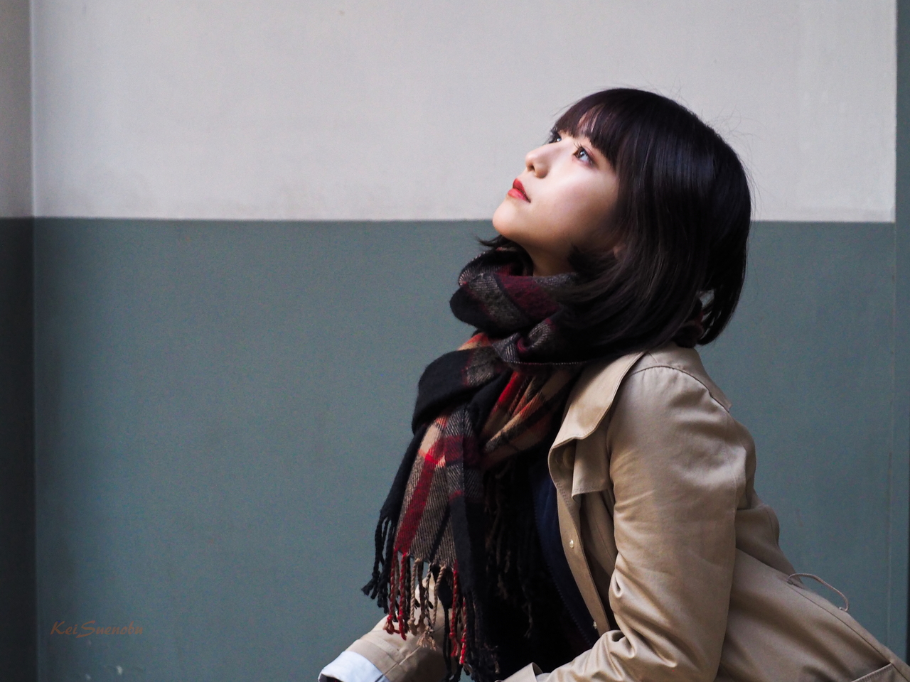 f:id:glitteringrivergreen:20200204121614j:plain