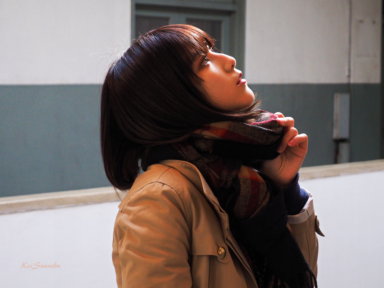 f:id:glitteringrivergreen:20200204121650j:plain