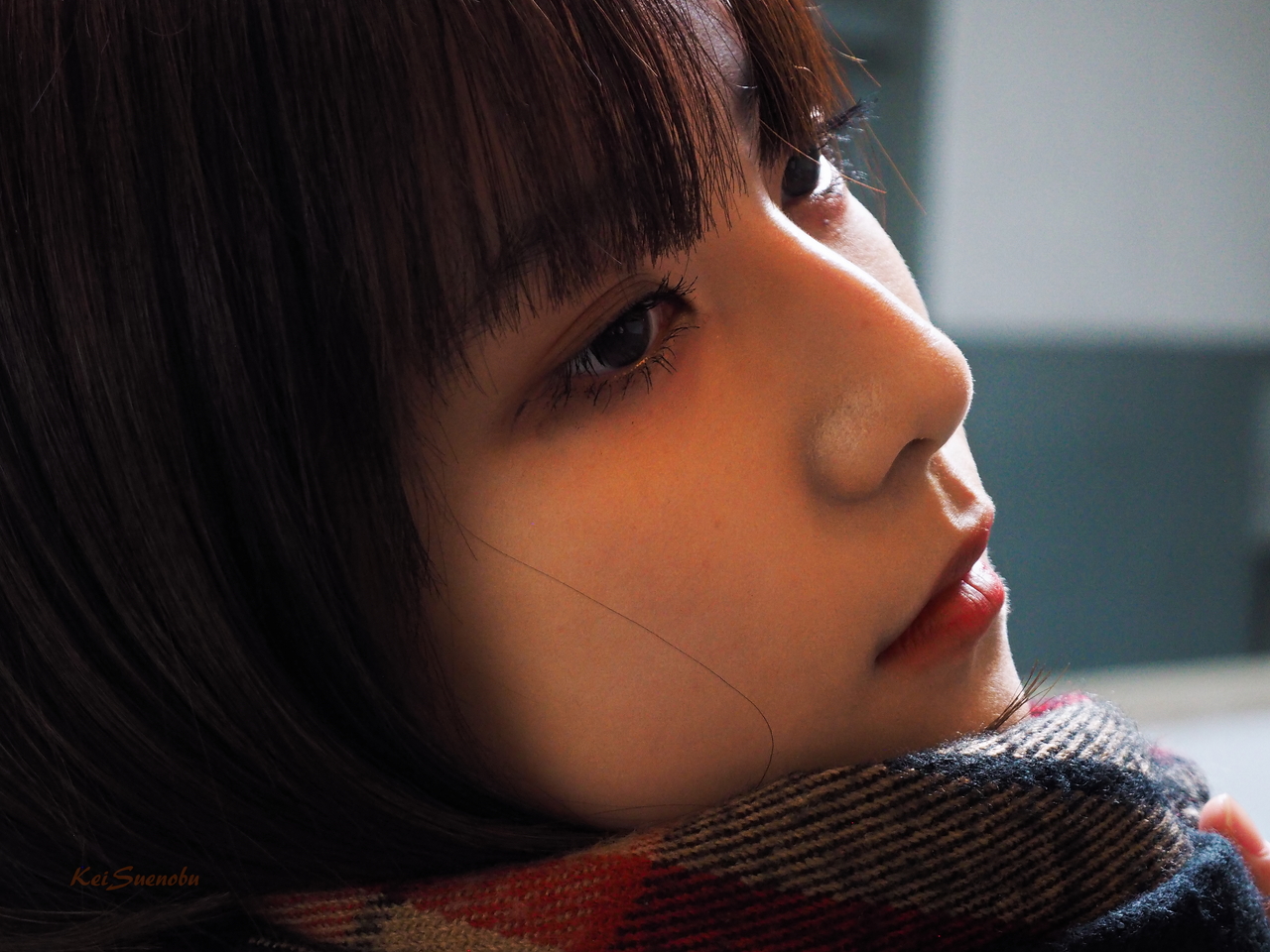 f:id:glitteringrivergreen:20200204121700j:plain