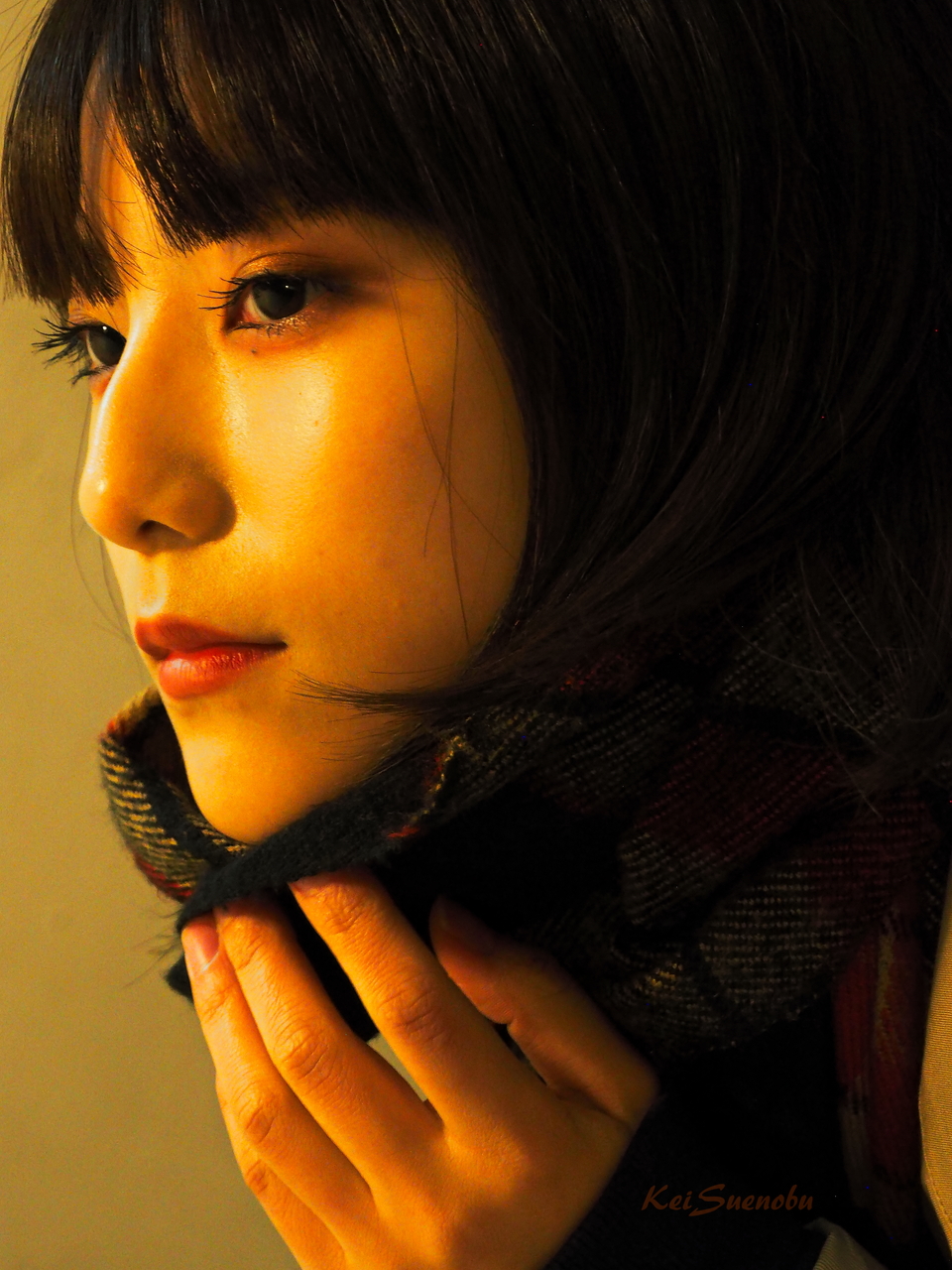 f:id:glitteringrivergreen:20200207212739j:plain