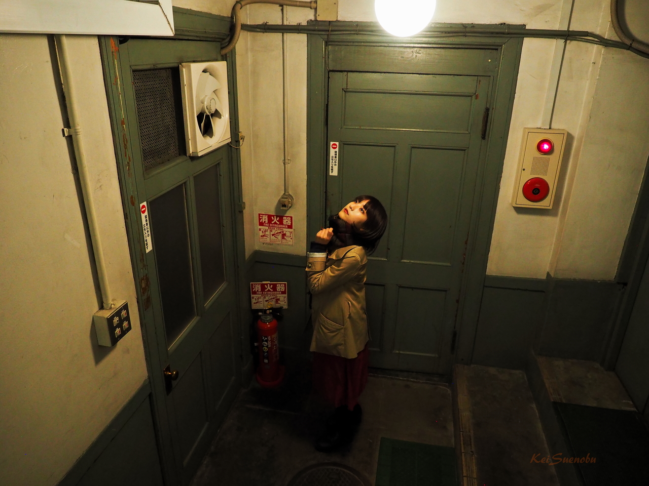 f:id:glitteringrivergreen:20200207212750j:plain