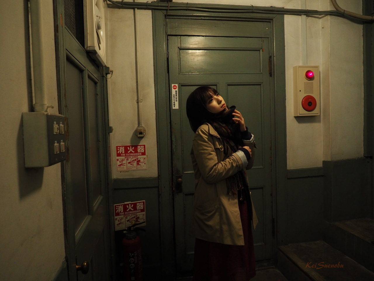 f:id:glitteringrivergreen:20200207212755j:plain