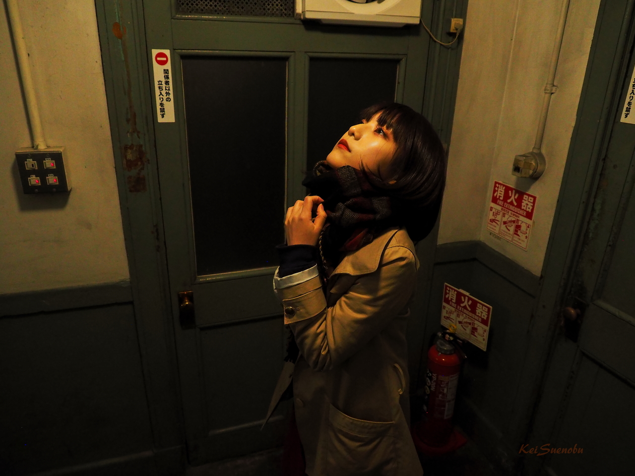 f:id:glitteringrivergreen:20200207212805j:plain