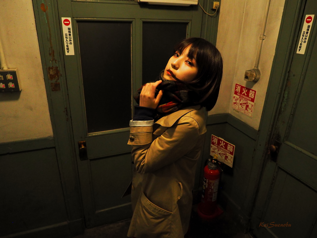 f:id:glitteringrivergreen:20200207212810j:plain