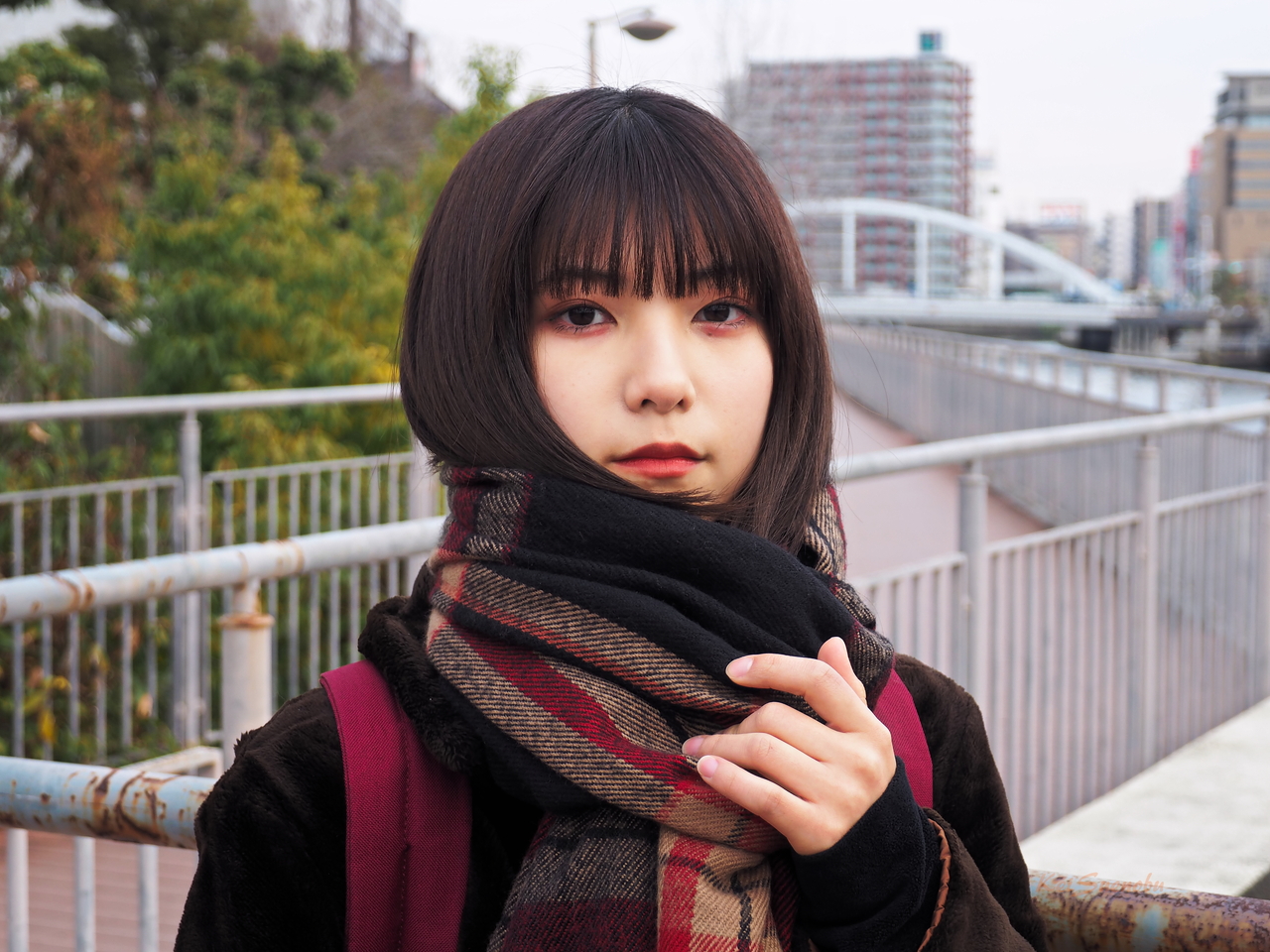 f:id:glitteringrivergreen:20200213191205j:plain