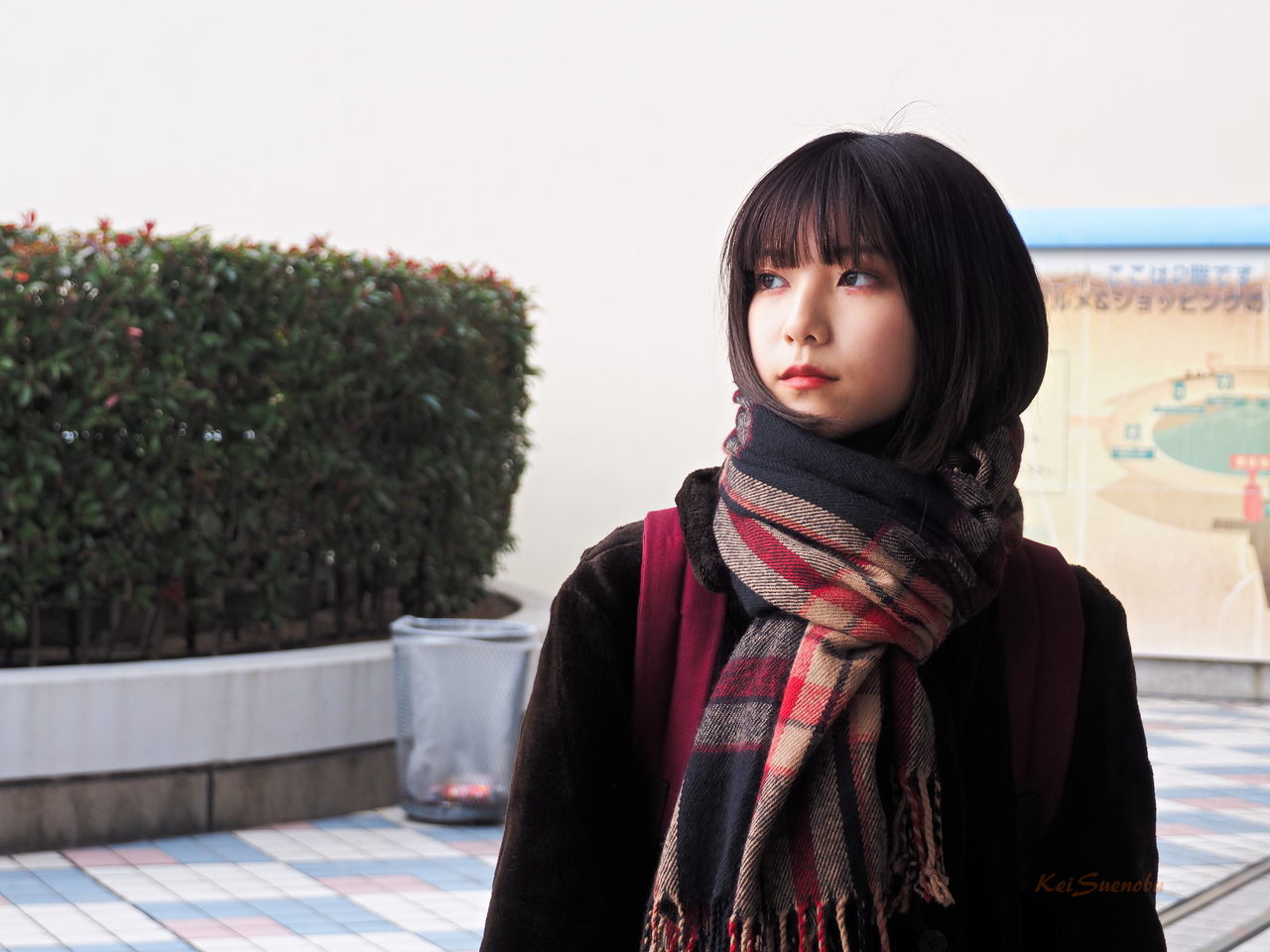 f:id:glitteringrivergreen:20200213191226j:plain