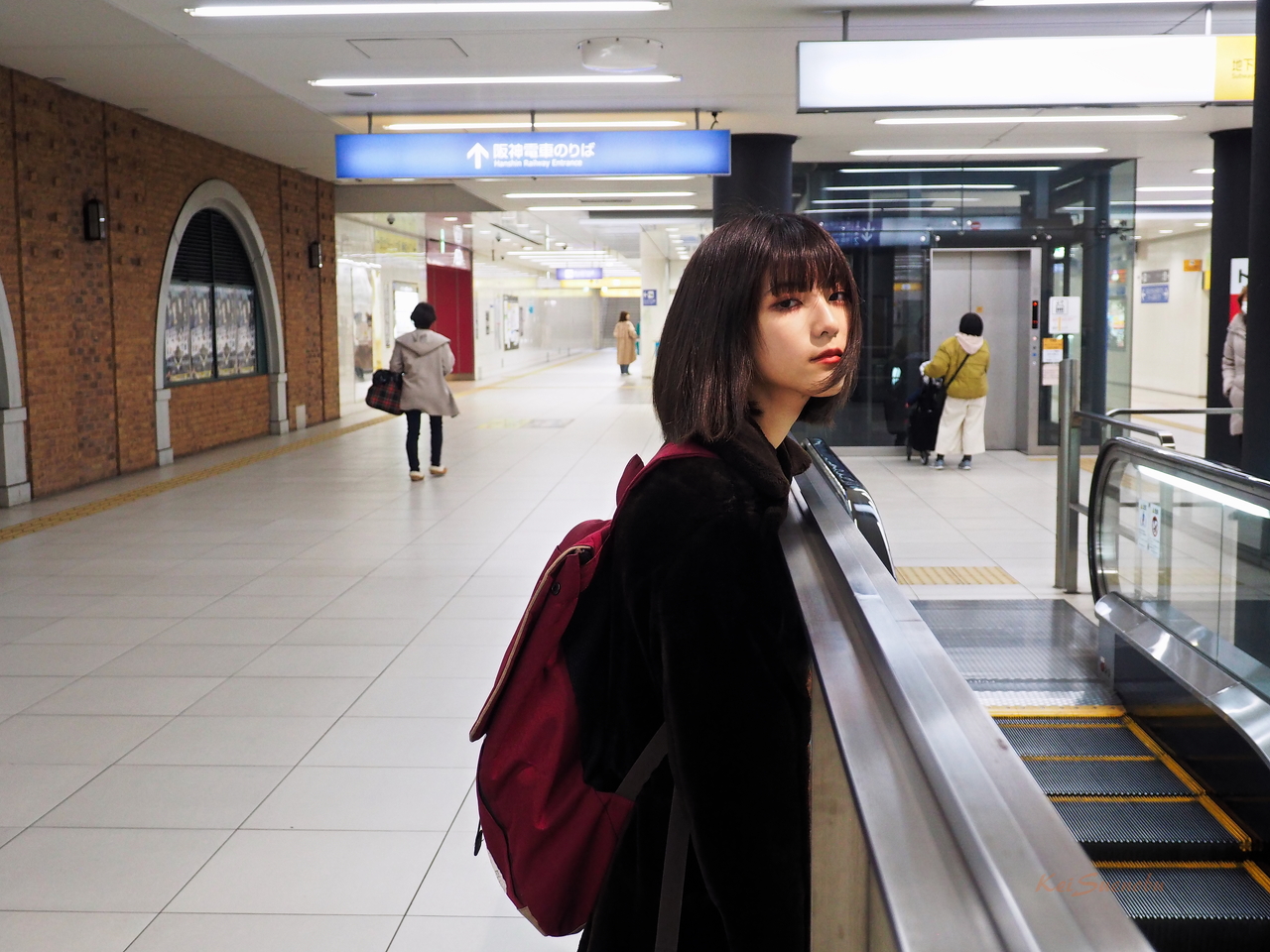 f:id:glitteringrivergreen:20200215143541j:plain