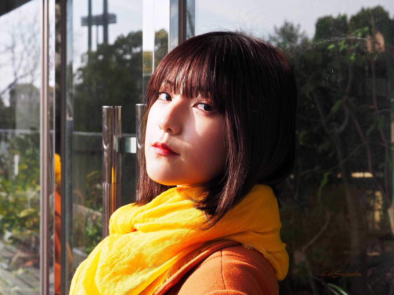 f:id:glitteringrivergreen:20200219145726j:plain