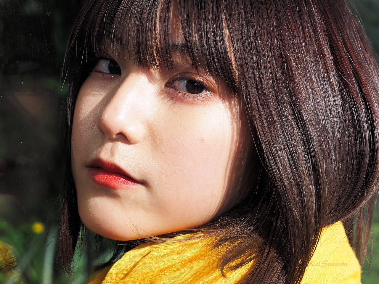 f:id:glitteringrivergreen:20200219145846j:plain