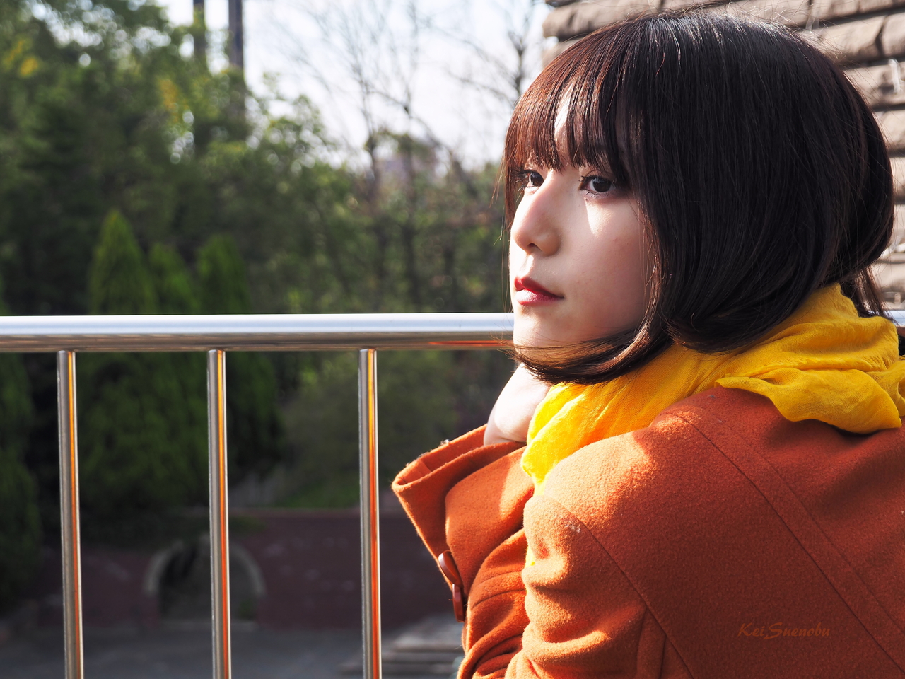 f:id:glitteringrivergreen:20200219150123j:plain