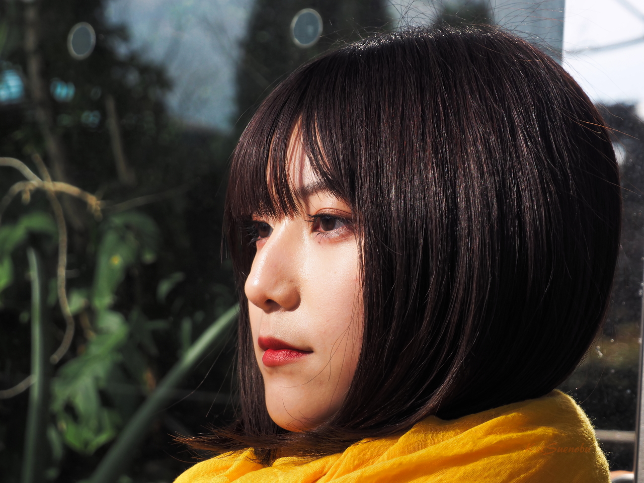 f:id:glitteringrivergreen:20200219150345j:plain