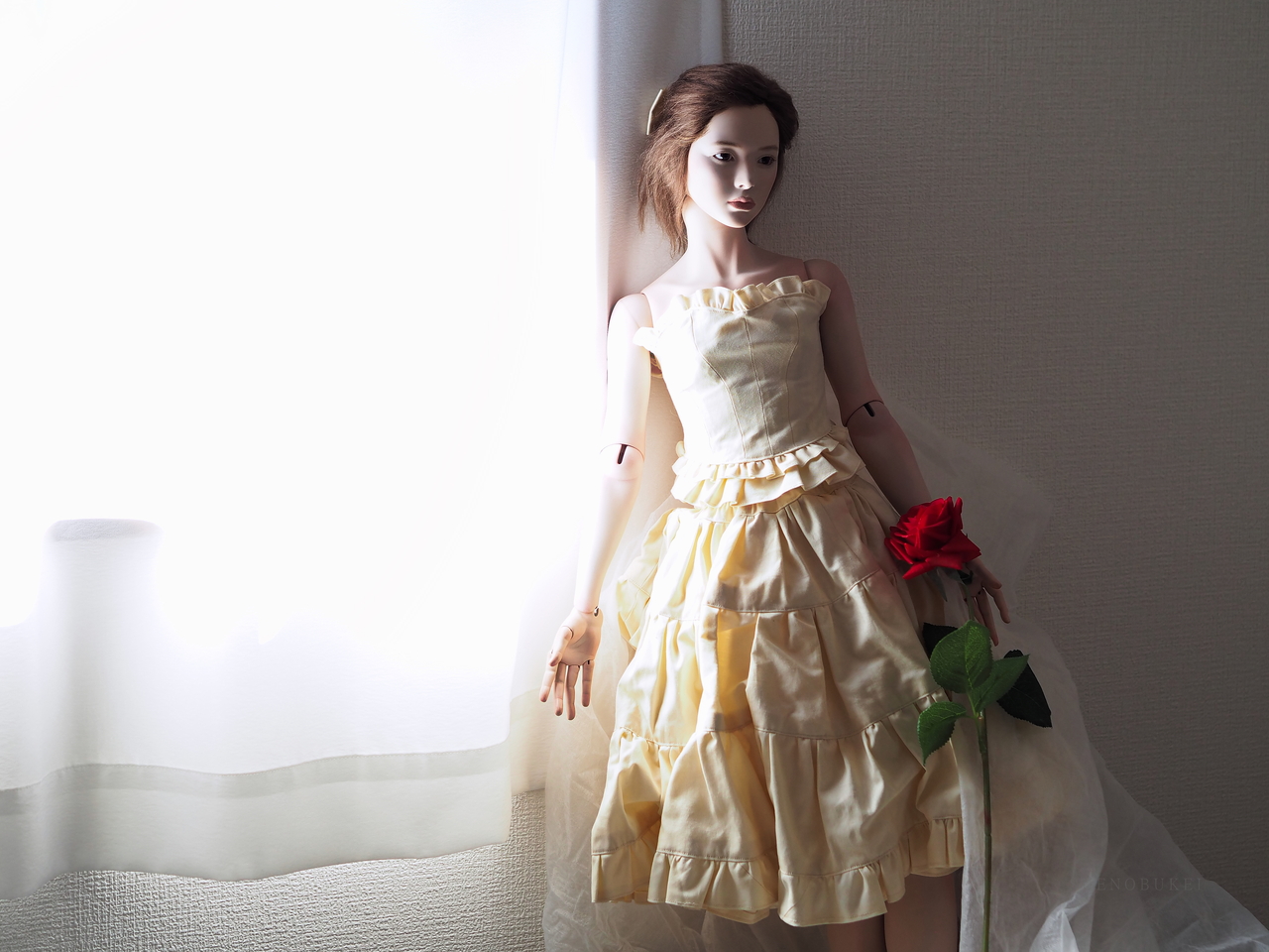 f:id:glitteringrivergreen:20200323190624j:plain f:id:glitteringrivergreen:20200323190624j:plain
