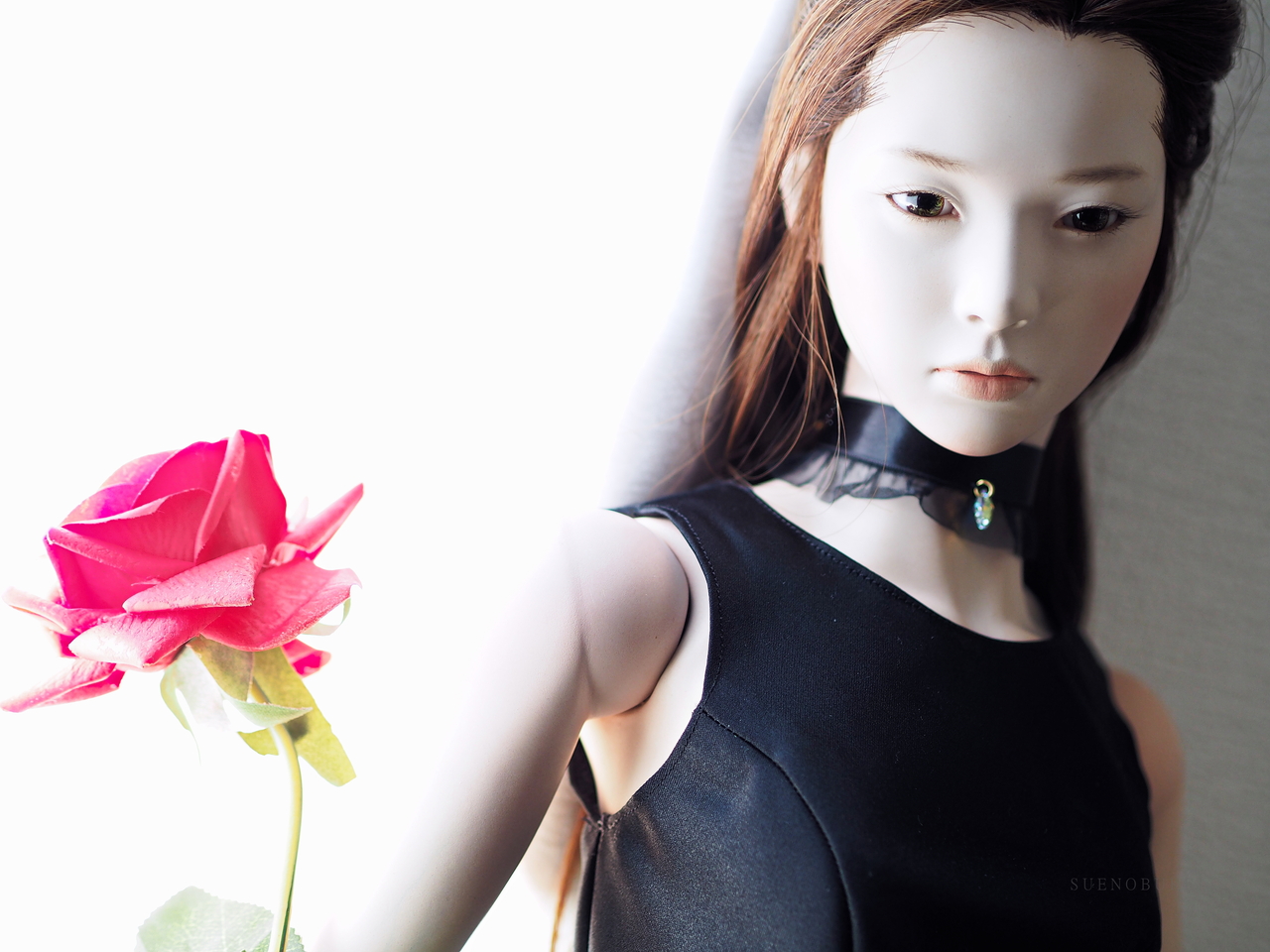 f:id:glitteringrivergreen:20200328110913j:plain f:id:glitteringrivergreen:20200328110913j:plain