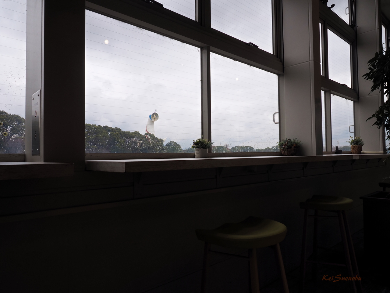 f:id:glitteringrivergreen:20200411111759j:plain