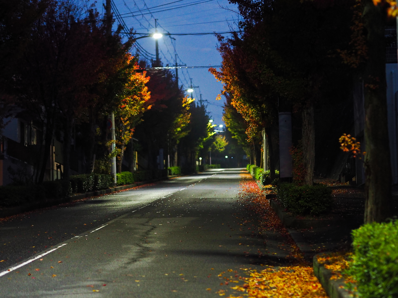 f:id:glitteringrivergreen:20201108223720j:plain