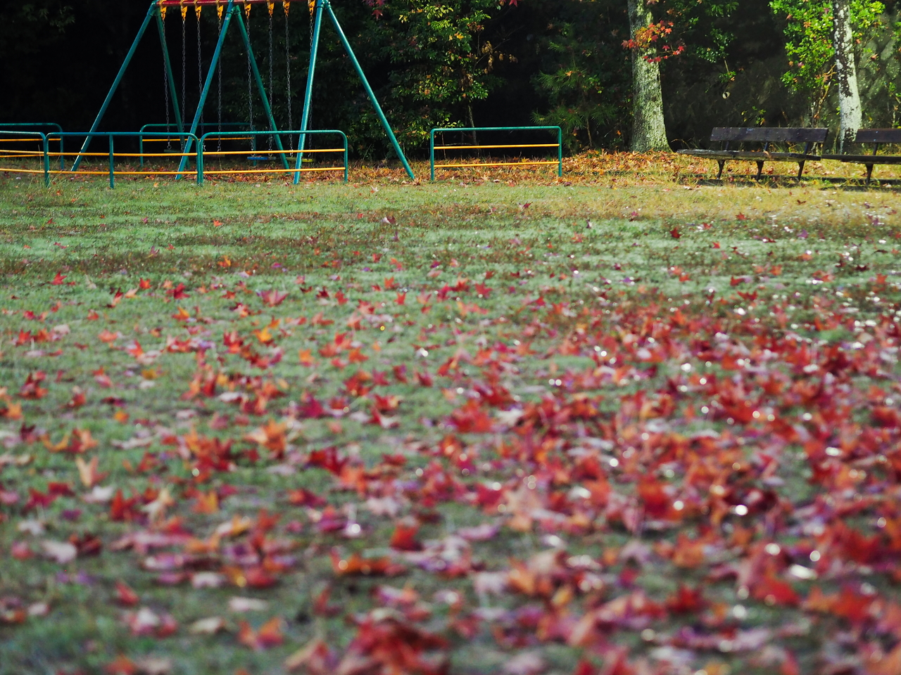 f:id:glitteringrivergreen:20201108223751j:plain