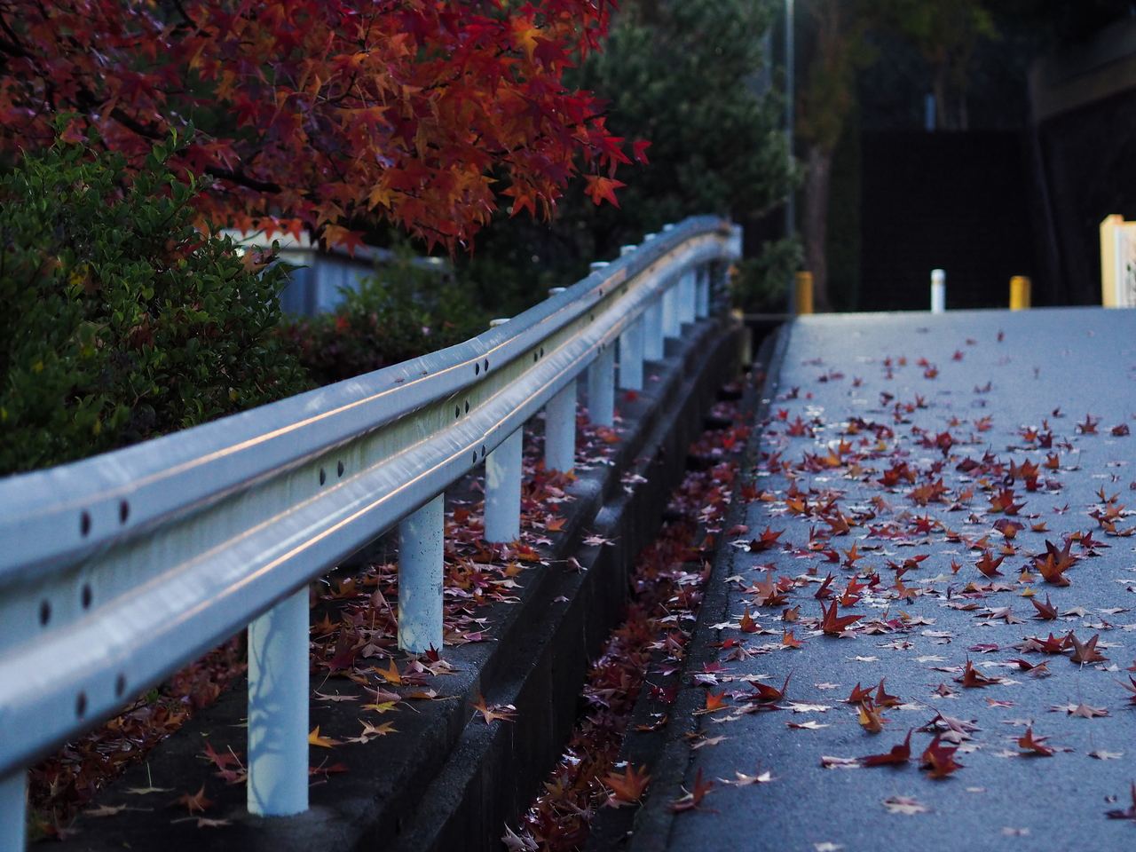 f:id:glitteringrivergreen:20201108223757j:plain