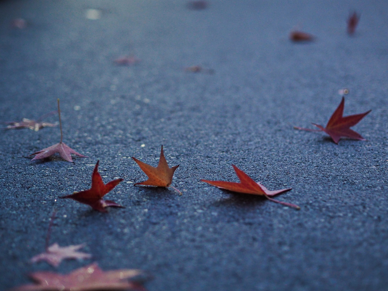 f:id:glitteringrivergreen:20201108223809j:plain