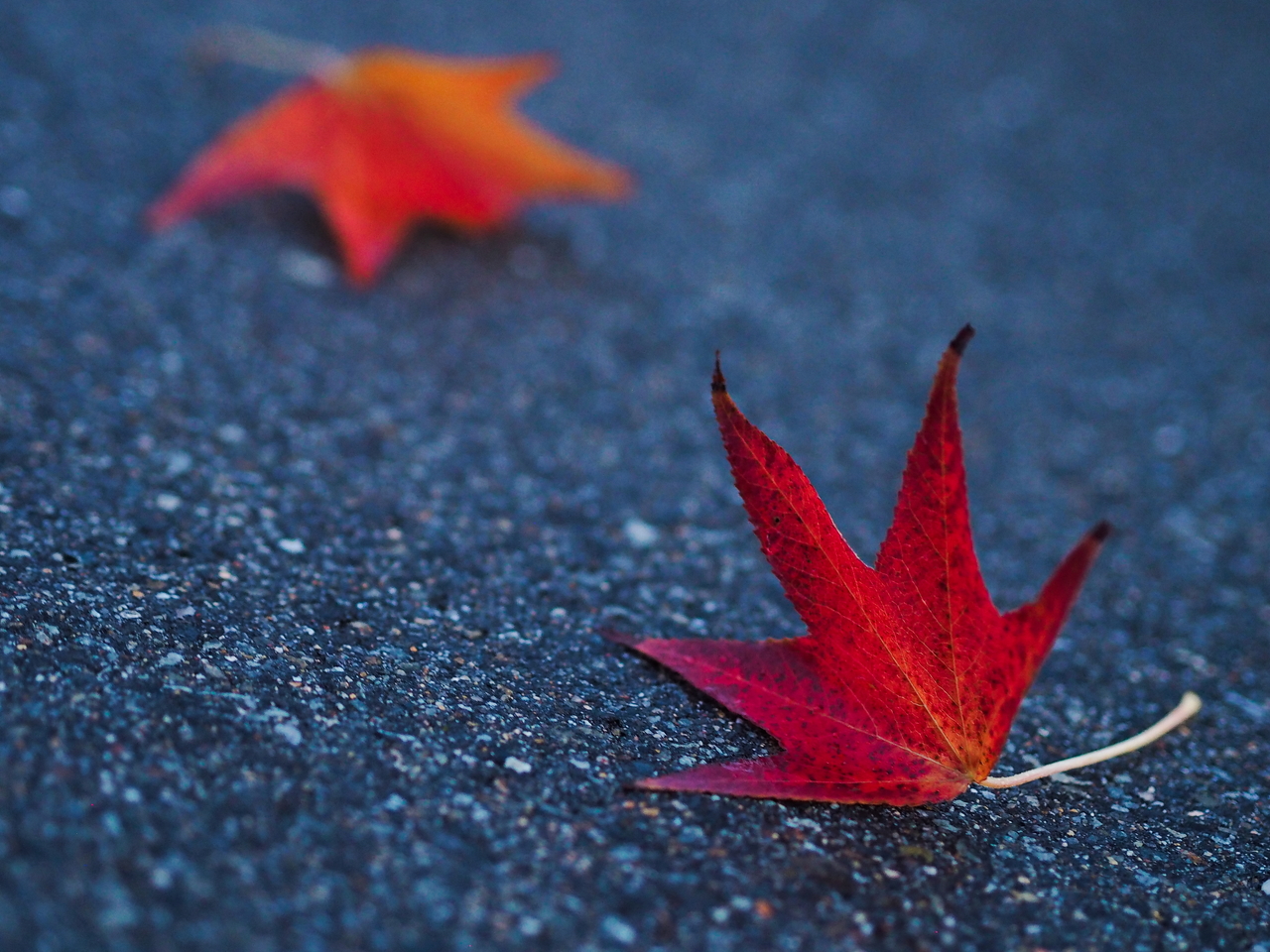 f:id:glitteringrivergreen:20201108223815j:plain