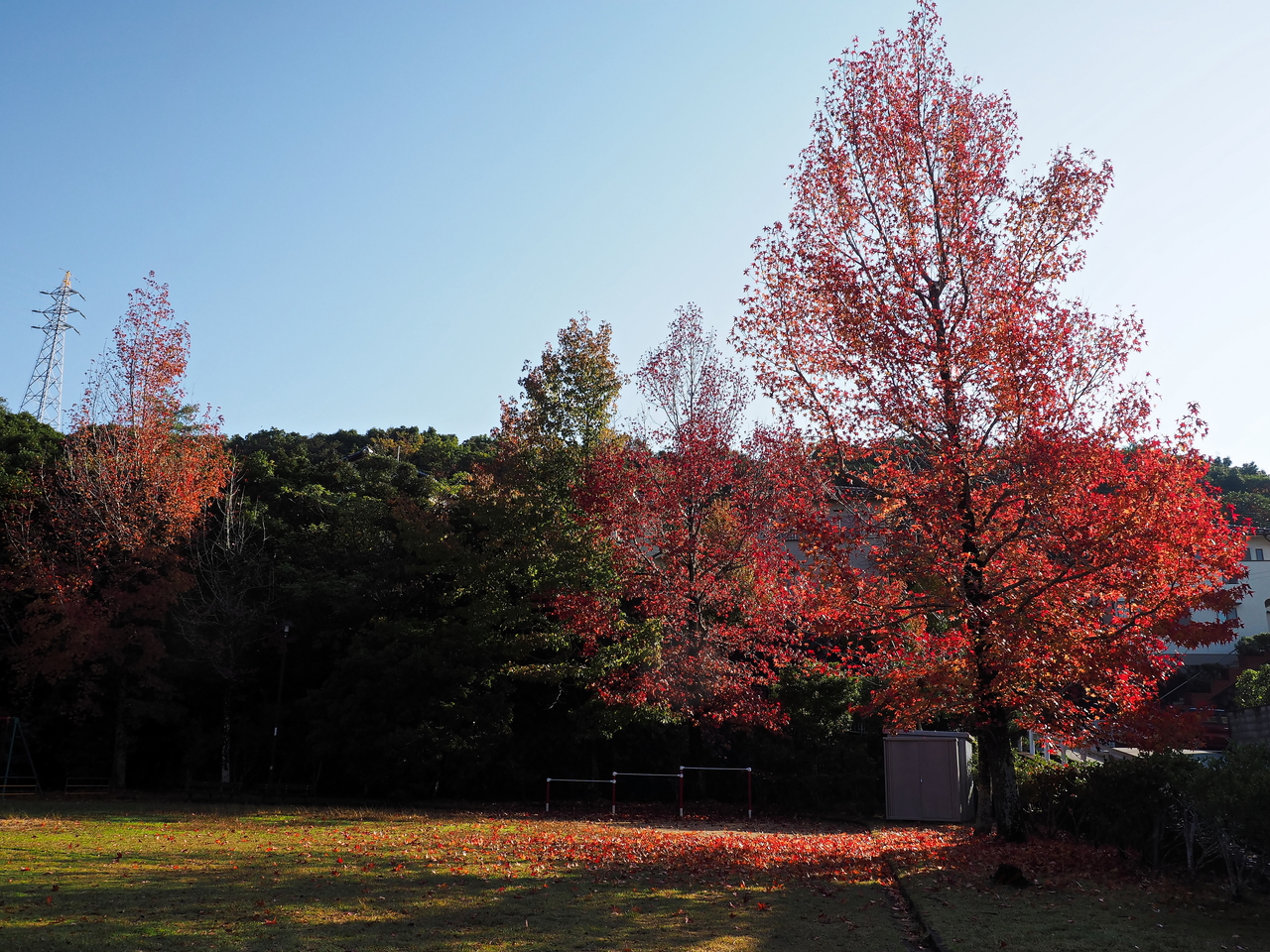 f:id:glitteringrivergreen:20201108223820j:plain