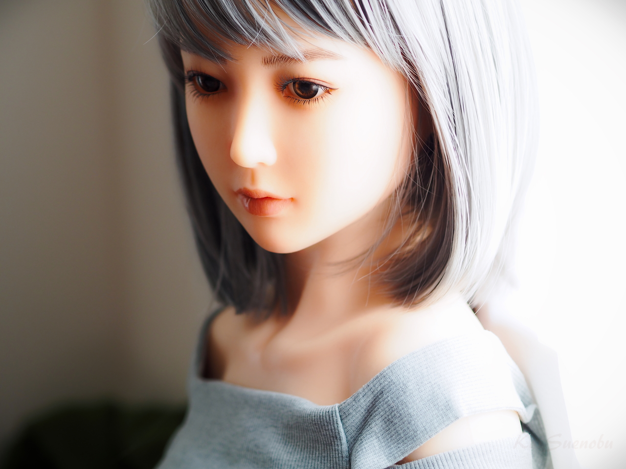 f:id:glitteringrivergreen:20210224183047j:plain