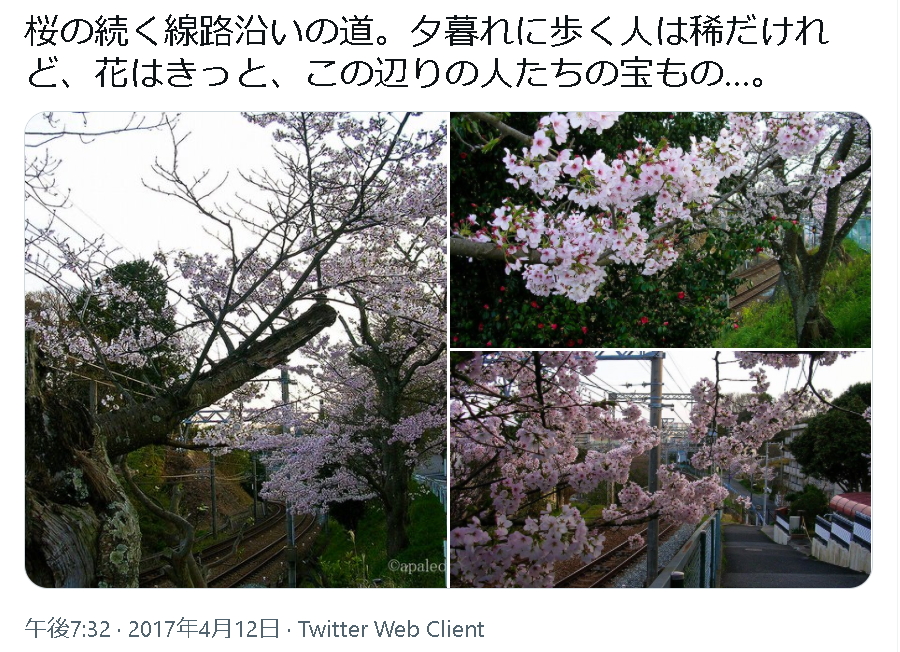 f:id:glitteringrivergreen:20211222190331j:plain