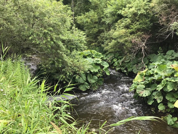 f:id:glk:20190812224817j:plain f:id:glk:20190812224817j:plain