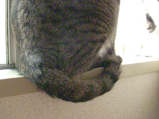 f:id:glmin:20090830201948j:image