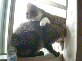 f:id:glmin:20090830201949j:image