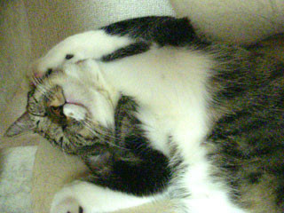 f:id:glmin:20090830201951j:image