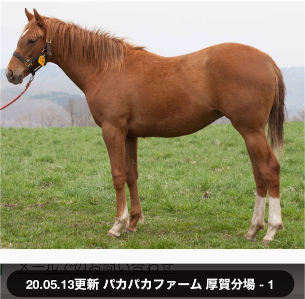 f:id:global_dyna:20200516084500j:image