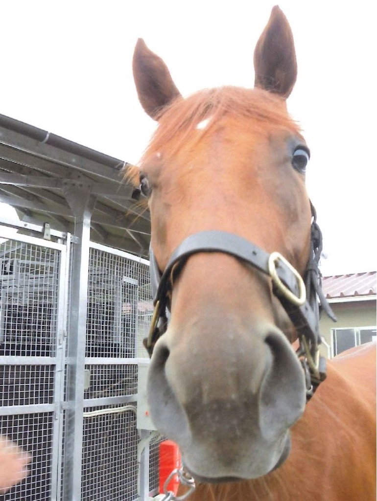 f:id:global_dyna:20200715213117j:image f:id:global_dyna:20200715213117j:image