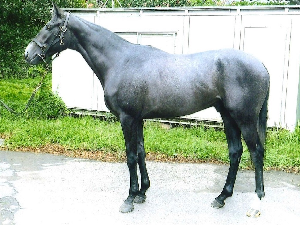 f:id:global_dyna:20200715215944j:image f:id:global_dyna:20200715215944j:image