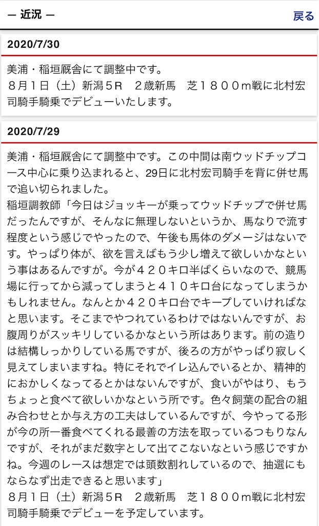 f:id:global_dyna:20200730221350j:image