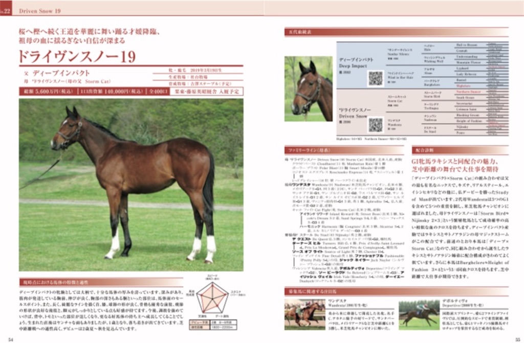 f:id:global_dyna:20200806094249j:image
