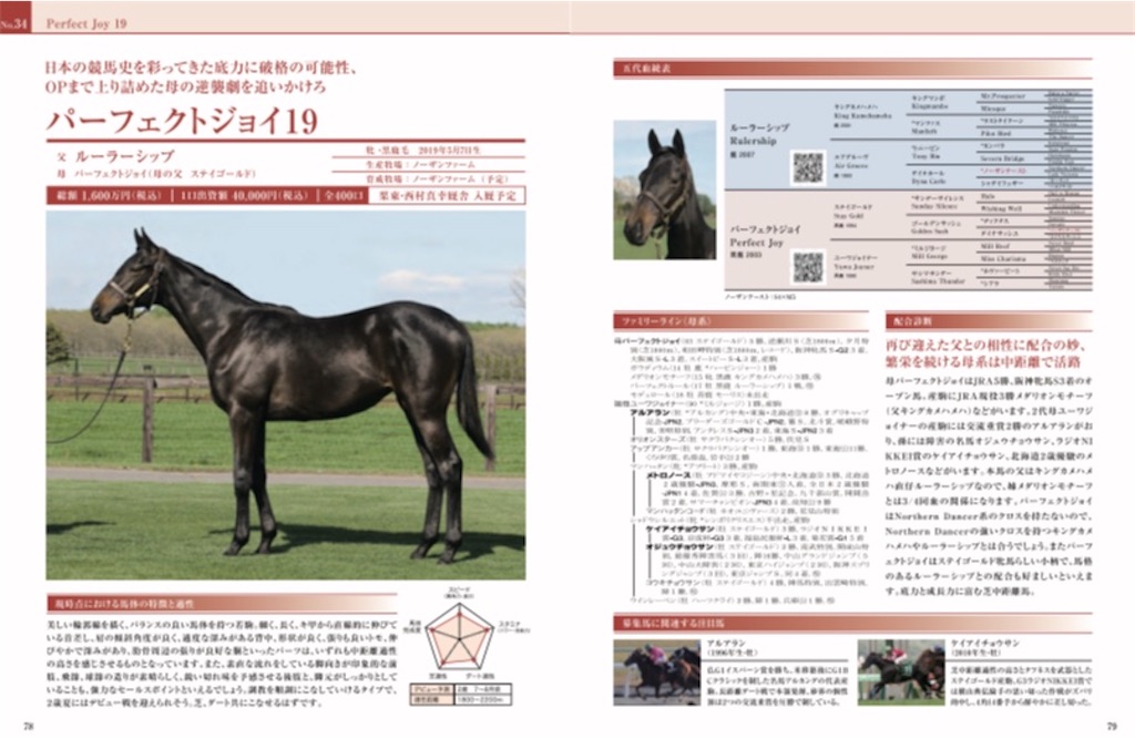 f:id:global_dyna:20200806094325j:image