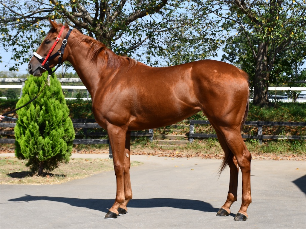 f:id:global_dyna:20200925214136j:image f:id:global_dyna:20200925214136j:image