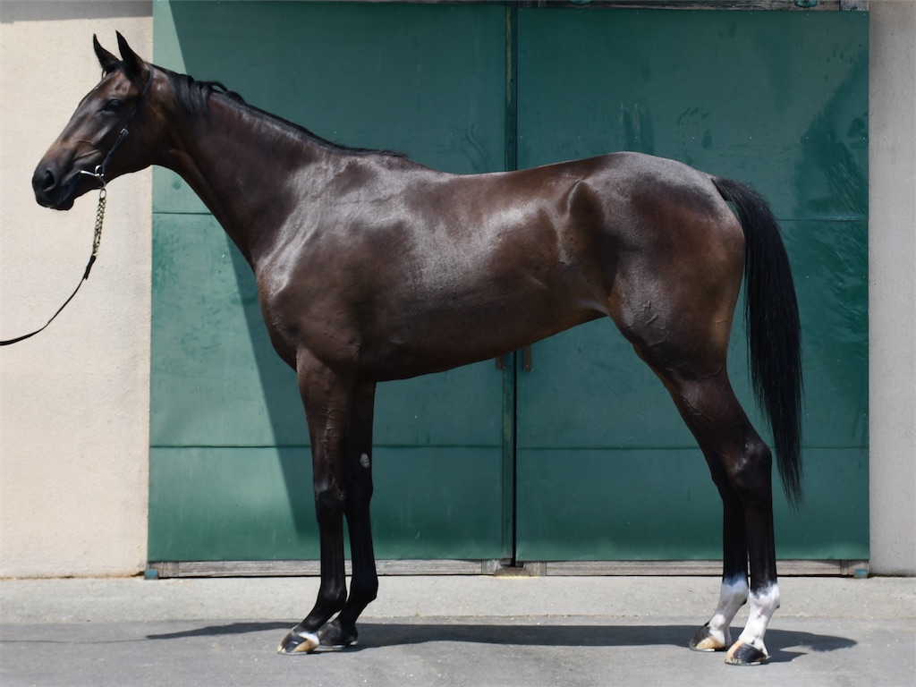 f:id:global_dyna:20200925215603j:image f:id:global_dyna:20200925215603j:image