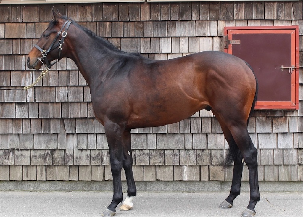 f:id:global_dyna:20200925221238j:image f:id:global_dyna:20200925221238j:image