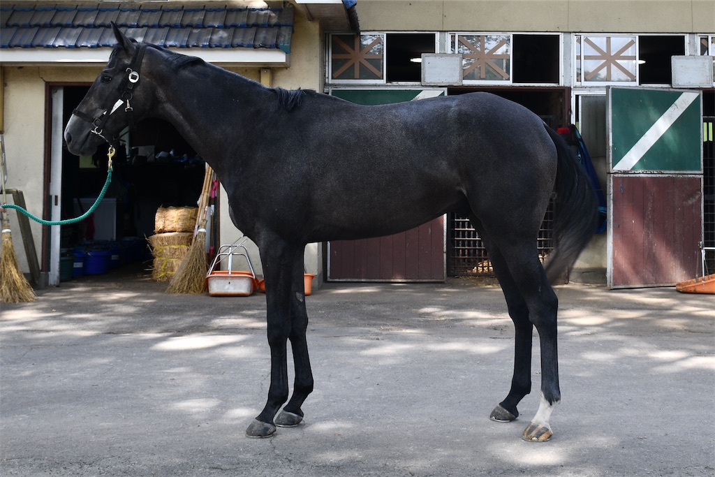 f:id:global_dyna:20201011145150j:image f:id:global_dyna:20201011145150j:image