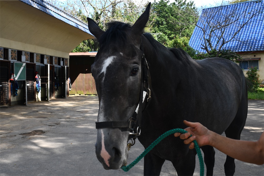 f:id:global_dyna:20201219103129j:image f:id:global_dyna:20201219103129j:image