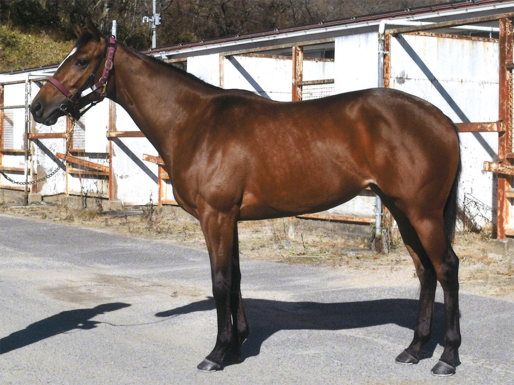 f:id:global_dyna:20210106224722j:image