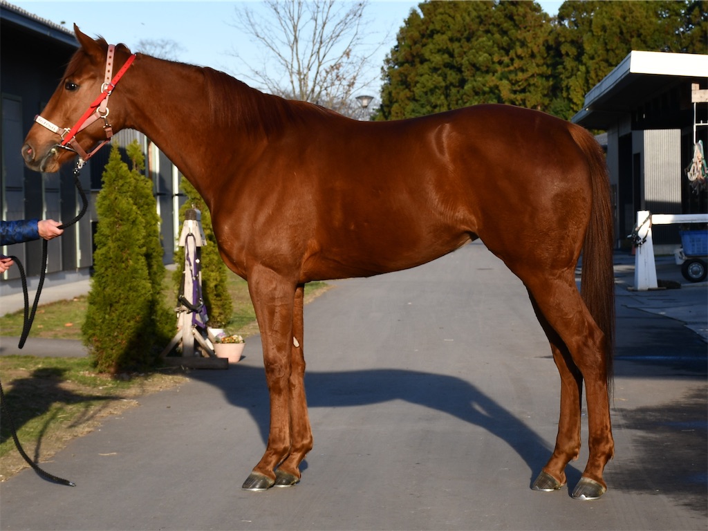 f:id:global_dyna:20210109224521j:image f:id:global_dyna:20210109224521j:image