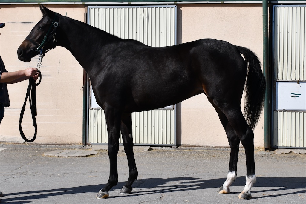 f:id:global_dyna:20210116155257j:image