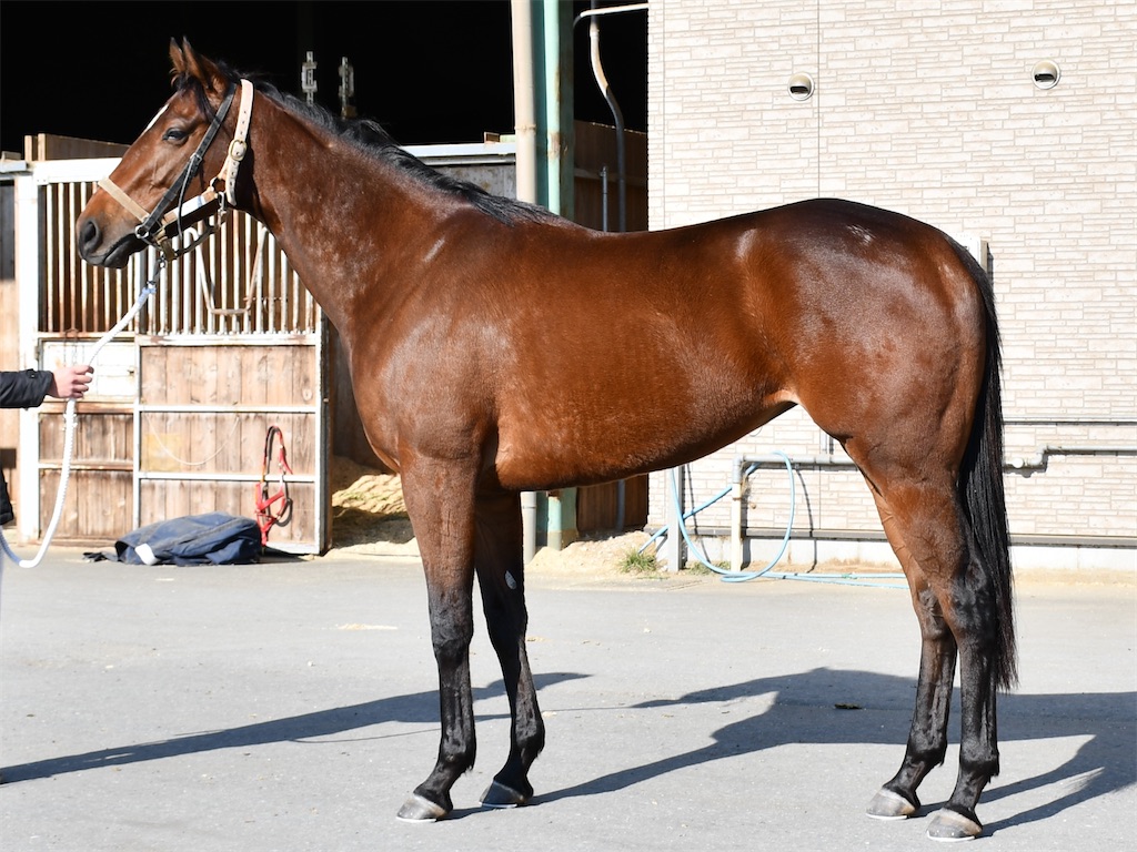 f:id:global_dyna:20210129151725j:image f:id:global_dyna:20210129151725j:image