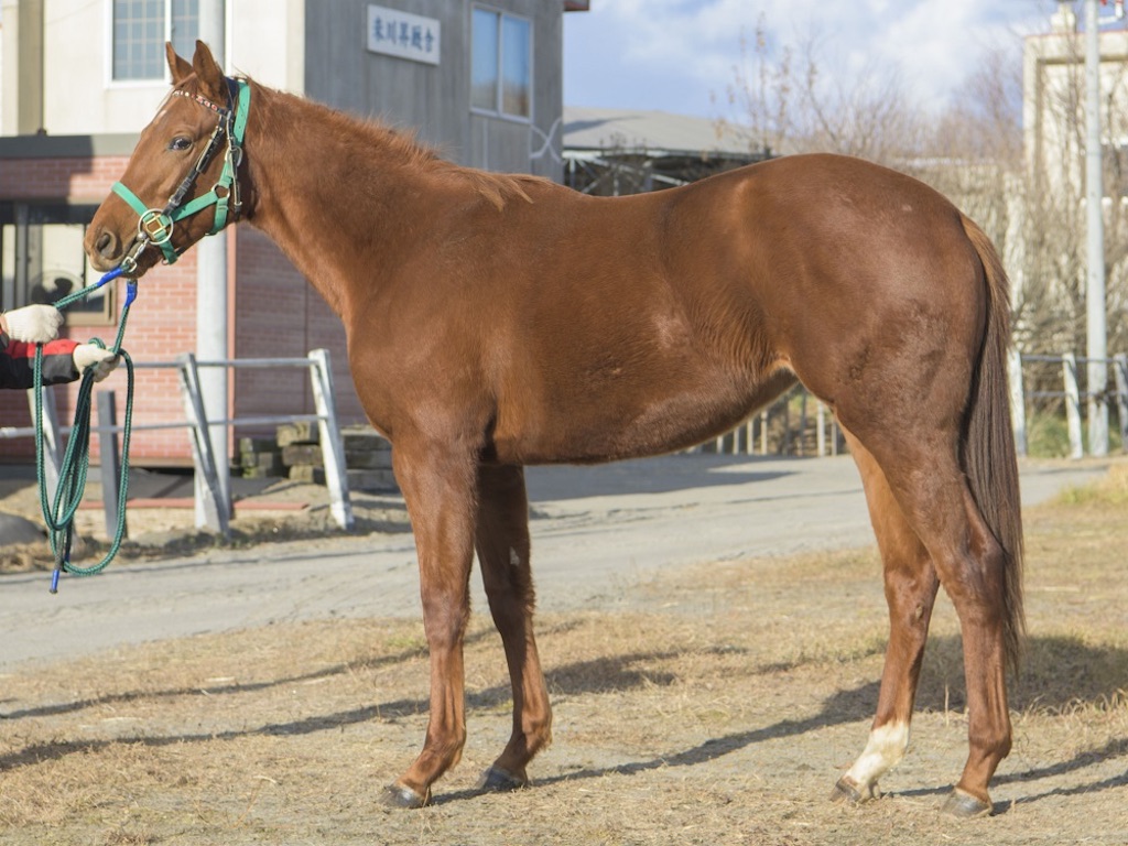 f:id:global_dyna:20210213151909j:image f:id:global_dyna:20210213151909j:image