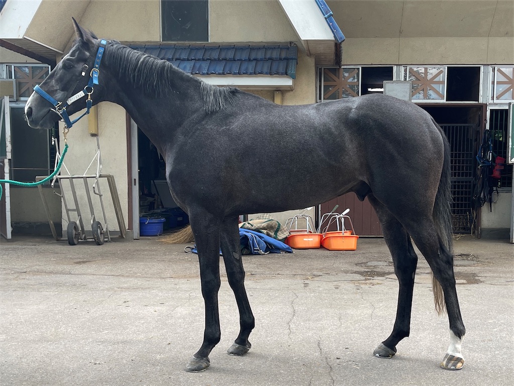 f:id:global_dyna:20210625153227j:image f:id:global_dyna:20210625153227j:image