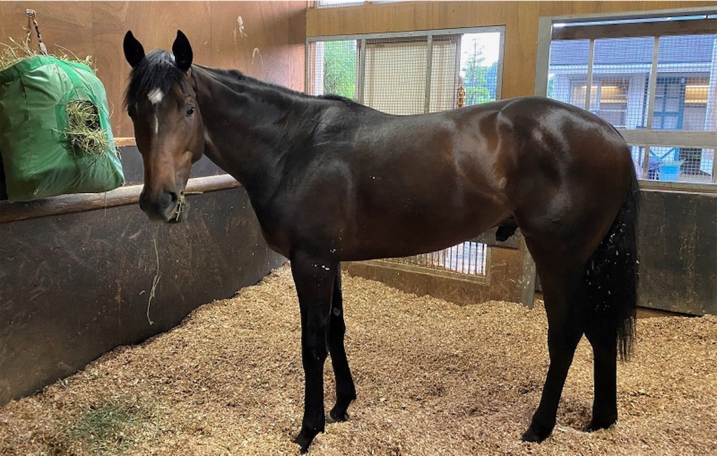 f:id:global_dyna:20210627172427j:image f:id:global_dyna:20210627172427j:image